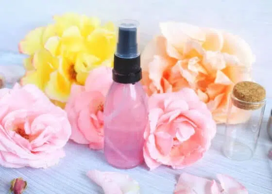 The Best DIY Rose Water Toner Recipe - greenbeautymama.com