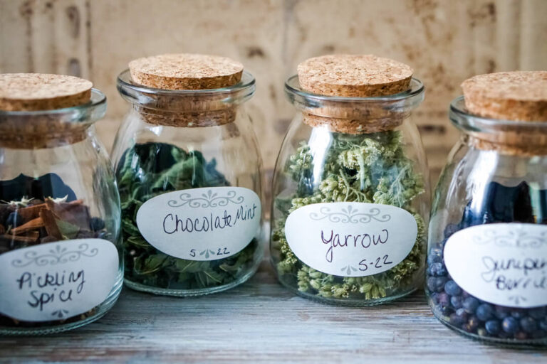 How to Dry Herbs Without a Dehydrator