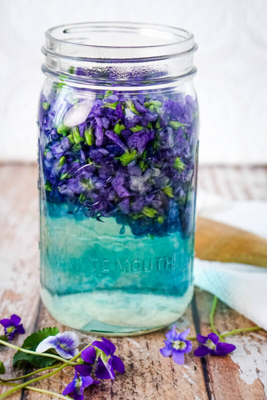 A mason jar of violets steeping in water and releasing their blue color. 